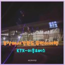 부산에서 대관령양때목장가는법버스와 부전원주역KTX이음 교통편 총정리