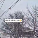 호두나무 펜션 이미지