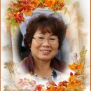 개인(강정숙) 이미지