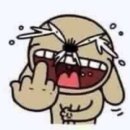 포켓데이터