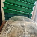 화성농장 | 내돈내산 아이와 함께 가볼 만한 화성 딸기체험장! 장스베리 딸기농장 솔직 후기