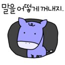 가연미용실 - 도봉구 | 가연미용실