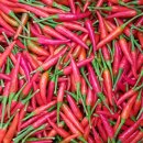 월남농장 이미지