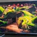 수정이네 이미지