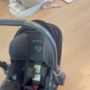 Uppababy Aria v2 carseat 이미지