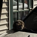 진촌설렁탕 | グッバイバイ🙌