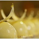 코안도르 이미지