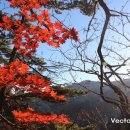 대가야센터-11 이미지