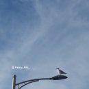 마조레펜션1동 이미지