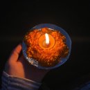 실크로드인터내셔날 | [불교성지순례 2일차] 마음여행 실크로드여행사 인도&amp;네팔 성지순례 11일 후기, 인도·네팔 여행