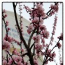 안경매니져 김제점 이미지