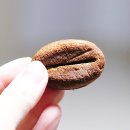 샌드위듀(시지점) | 시지 샌드위치 맛집 경산 샐러드 맛집 샌드위듀 단골각!