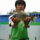 장천보양탕 Daum카페