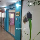 큰아들삼화점 | 주방 셀프인테리어 벽과 방문 페인트 후 확 바뀐 모습!