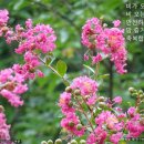 오늘 더 예쁘다 이미지