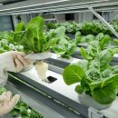 성보농장 이미지