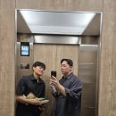 피니슈