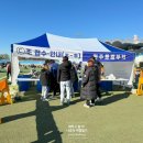 정통단 이미지