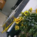 라인&유행댄스 | 만수동 유행하는 댄스 배우고 싶다면 M2댄스 방문 후기