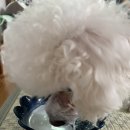 와니동물병원 이미지