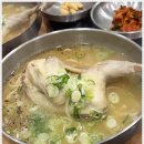 닭한마리칼국수 이미지