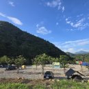 별비담캠핑장 이미지