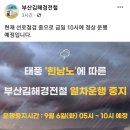 도시철도 및 경전철 (동해선 광역전철) 정상 운행 안내 이미지