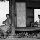 밝은세상인평점 | 자산어보 ( 창대한 조선의 역사는 계속되고 있다 )-평점 7점