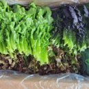 내산농장 이미지