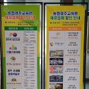 농협경주교육원 오락실 | 경주 숙소 농협경주교육원 스파 수영장