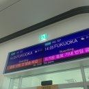 스시전 | 후쿠오카 공항 맛집 니시무라스시, 여행 시작 전 미슐랭 스시 오마카세 후기🍣