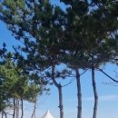 동해우리마트 이미지