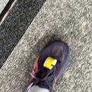 아식스 노바블라스트5 런닝화 리얼 내돈내산 후기