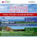 투투여행사 이미지