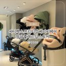 청담네스트 | 싸이벡스 프리미엄 베이비페어 코엑스 베페 대신 청담 플래그십 스토어 방문후기