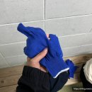 인천 여름 실내데이트 장소로 추천하고싶은 아이스링크장 선학국제빙상경기장
