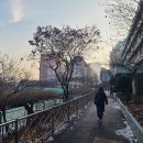 도곡로61길 | 참 오랜만의 토익 시험, 청계산과 일상들