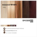 모완10 이미지