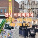 오픈패스 주식회사 | 2026 안성베이비페어 지니베이비키즈페어 솔직후기