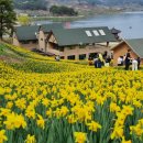 4/4~5 하동 삼성궁,지리산 치즈랜드 이미지