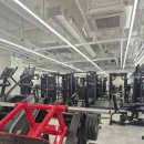 조이핏 복싱 짐 | 서초PT전문 웨딩 다이어트 기초웨이트 복싱 리스펙짐 솔직후기