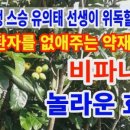 비파나무집 이미지