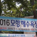 모항크리스탈펜션 - 27754 | 모항크리스탈펜션