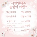 서면엘레슈의원 이미지