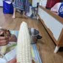 도영 농장 이미지