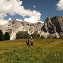 제국목장 이미지