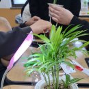 화봉중학교 | 농장에 과학기술? 울산 스마트팜 전문가 직업체험 화봉중학교