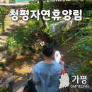 청평자연휴양림 | 청평자연휴양림 숙소 수영장 카페 바베큐 당일치기 정보