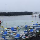 제주도여행사 - 서귀포시 서호로 26 | 제주도여행사