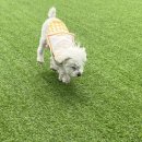 개편한 스쿨 이미지